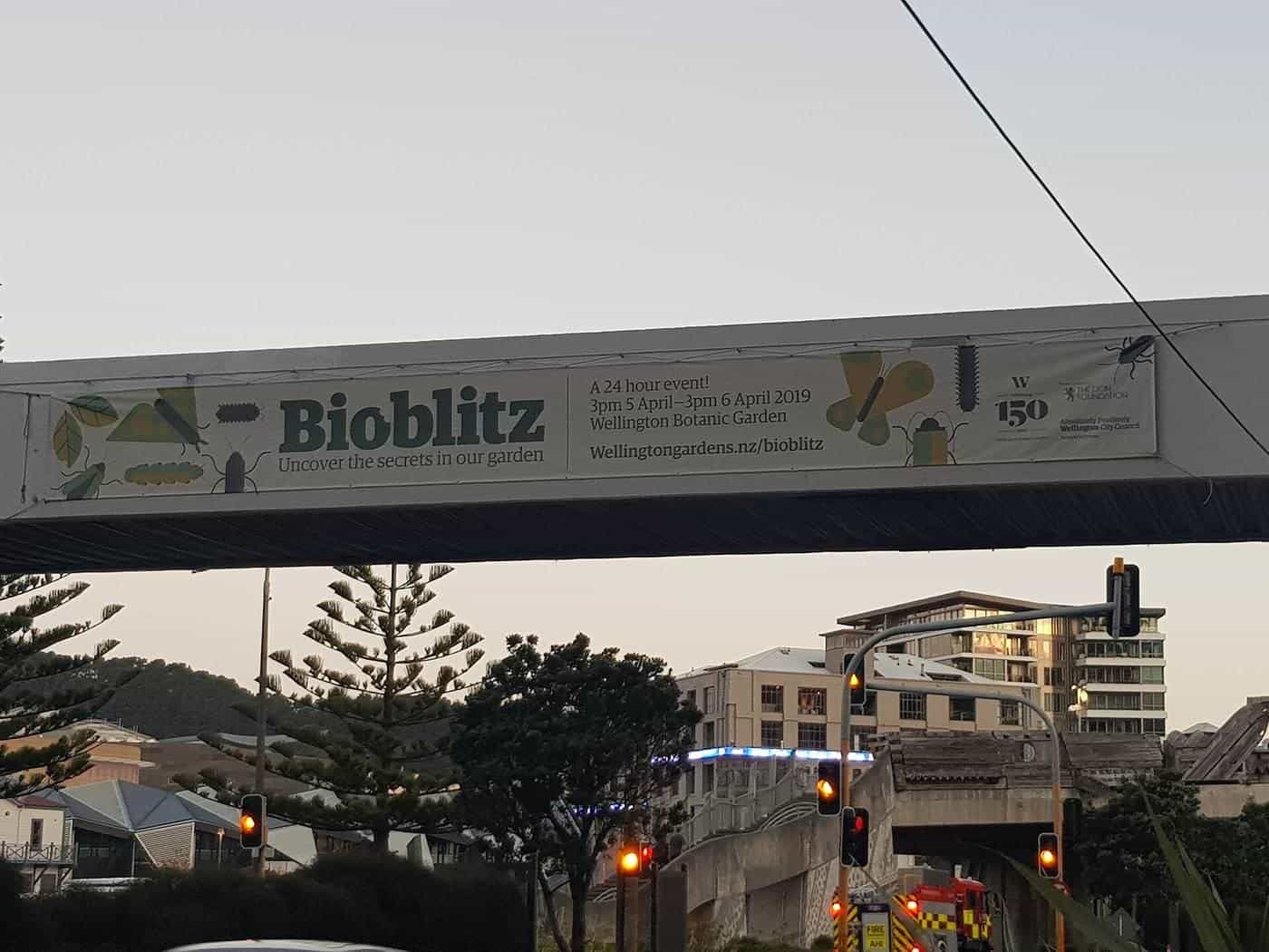 A long advertising banner for a community nature event hung across a walkway at dusk