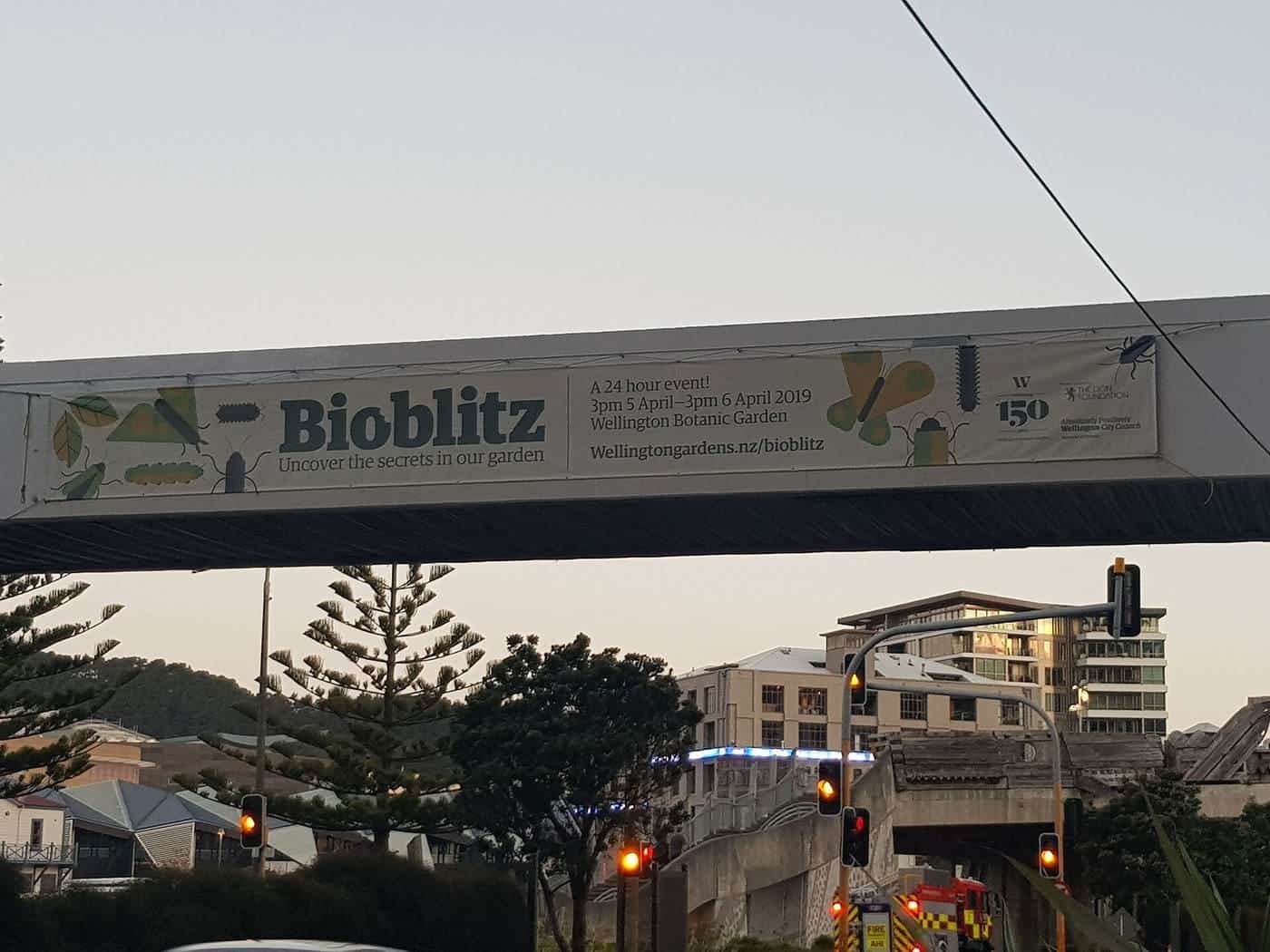 A long advertising banner for a community nature event hung across a walkway at dusk
